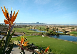 Ona Hacienda del Alamo Golf Resort | Golf i Murcia