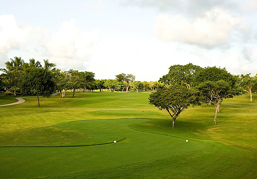 Meliá Punta Cana Beach | Cocotal Golf & Country Club