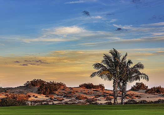 Maspalomas Golf | Golf på Gran Canaria