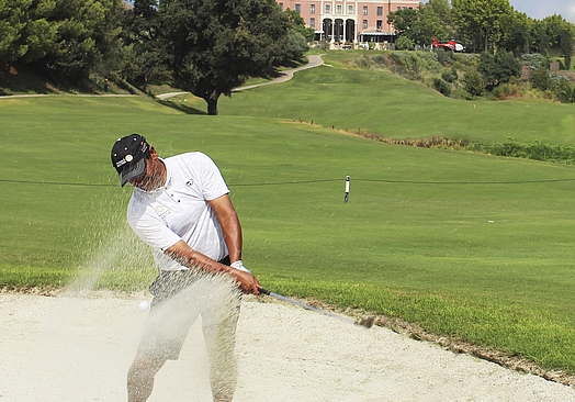 Villa Padierna Golf Club | Flamingos