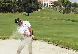 Villa Padierna Golf Club | Flamingos