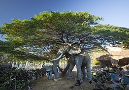 Lopesan Baobab Resort