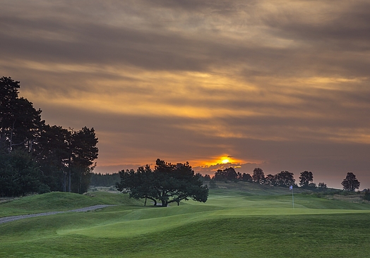 Modry Las Golf Resort | Golf i Polen