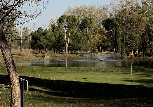 Golf Negralejo | Golf i Madrid