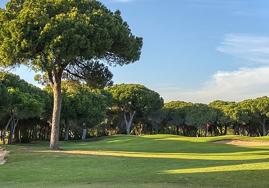 Dom Pedro Millennium | Golf i Vilamoura, Algarve