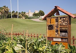 Barceló Montecastillo Golf & Sports Resort