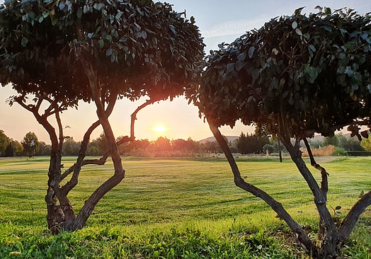 Club de Golf Aranjuez | Golf i Madrid