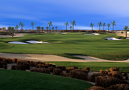 Palm Hills Golf Club