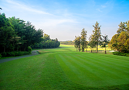 The RG City Golf Club