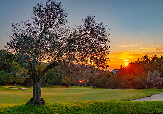 Los Arqueros Golf & Country Club