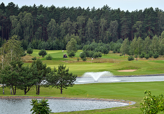 Kalinowe Pola Golf | Golf i Polen