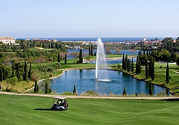 Villa Padierna Golf Club | Flamingos