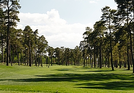 Barsebäck Resort