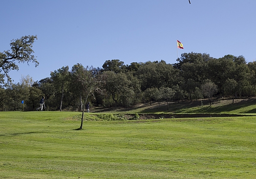 Real Club Golf Las Rozas