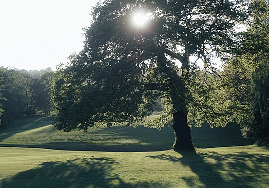 Rungsted Golf Klub