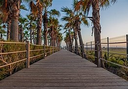 Wine & Books by the Sea