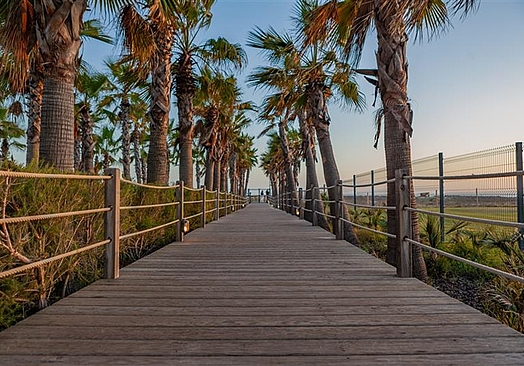 Wine & Books by the Sea