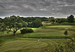 Tomelilla Golf Hotell & Krog