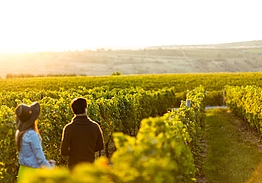 Porto Carras Grand Resort