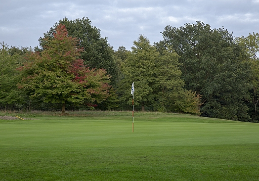 Rungsted Golf Klub