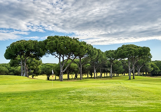 Pinhal Vilamoura | Golf i Algarve
