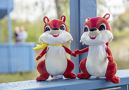 BEECH Resort Fleesensee