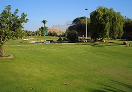 Club de Golf Torre Pacheco | Golf i Murcia