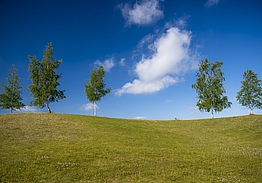 Binowo Park Golf Club