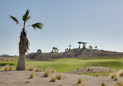 UGOLF Saurines de la Torre