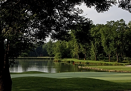 Circolo Golf Torino - La Mandria