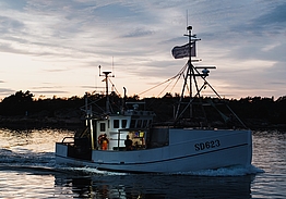 Strömstad Spa & Resort