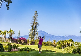 Hotel Jardín Tecina & Tecina Golf