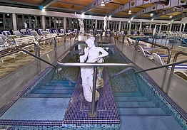 Hotel Petrarca Terme