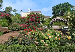 Palheiro Golf | Palheiro Gardens