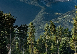 Pirin Golf Hotel & Spa