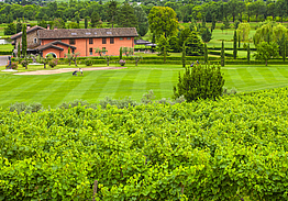 Castello di Spessa Golf & Country Club | Golf i Friuli-Venezia Giulia