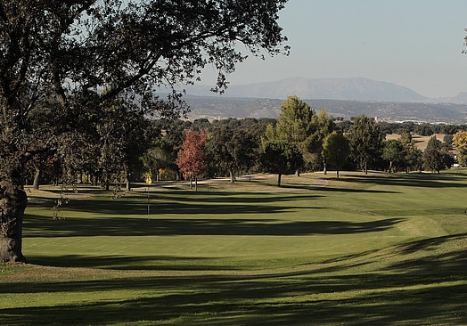 Real Automóvil Club de España RACE | Golf i Madrid