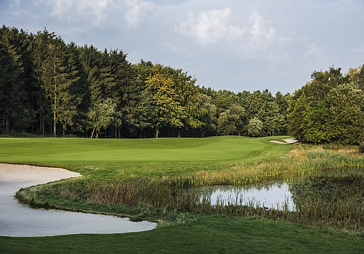 The Scandinavian | Old Course