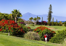 Hotel Jardín Tecina & Tecina Golf