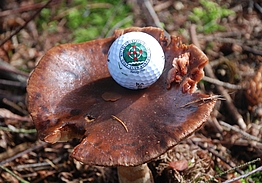 Mittelholsteinischer Golf-Club Aukrug