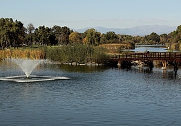 Real Club de Golf Lomas-Bosque | Golf i Madrid
