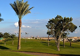 Palm Hills Golf Club