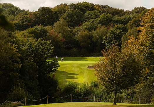 Dale Hill Golf Resort