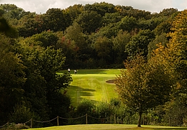 Dale Hill Golf Resort