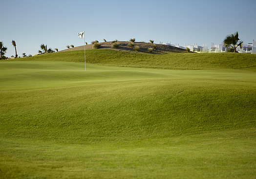 UGOLF Saurines de la Torre