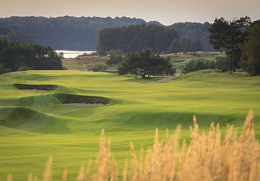 Modry Las Golf Resort | Golf i Polen
