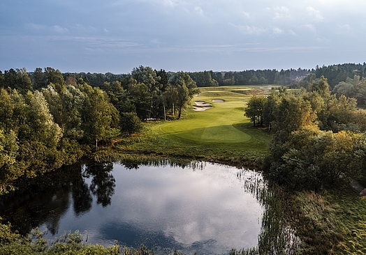 The Scandinavian | New Course