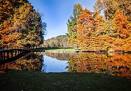 Golf Club Frassanelle