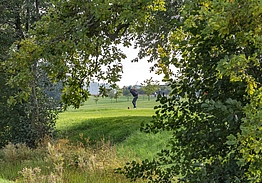 Rø Golfbaner | Golf på Bornholm