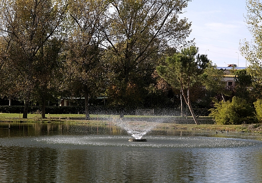 Golf Negralejo | Golf i Madrid